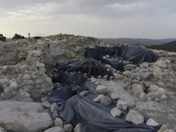 Yacimiento de la Almoloya 2023